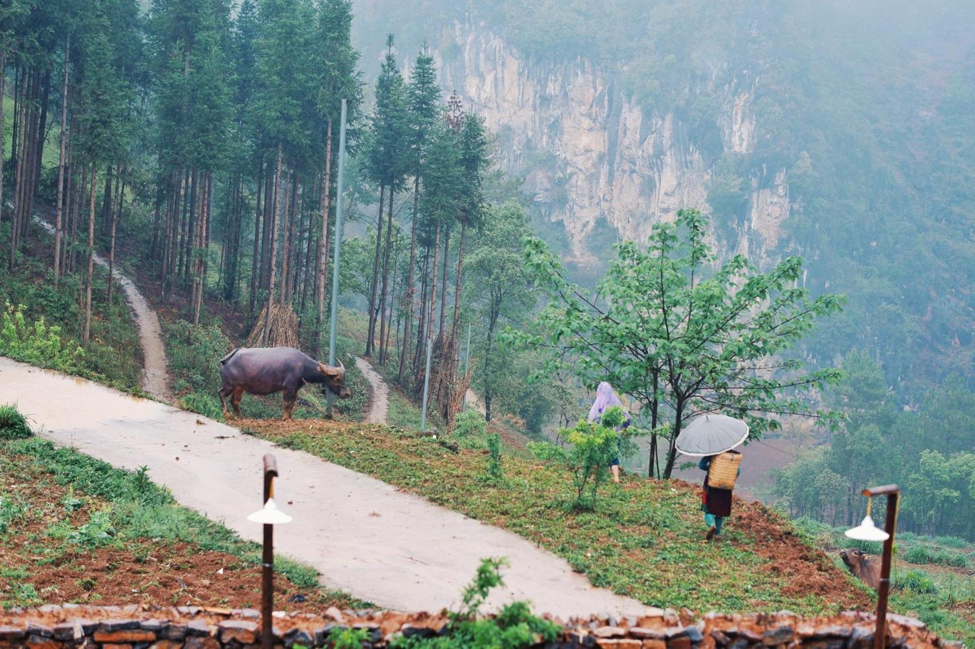 Maison De Hill Home Dong Van (Ha Giang) Exterior foto